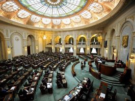 senat