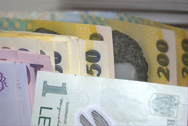 Cursul de referinta atinge un nou record din cauza divergentelor politice lei-credite