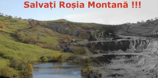 rosiamontana