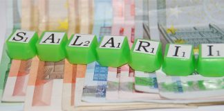 salarii-euro-venituri