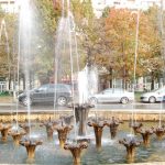 fantani-arteziene-universitate