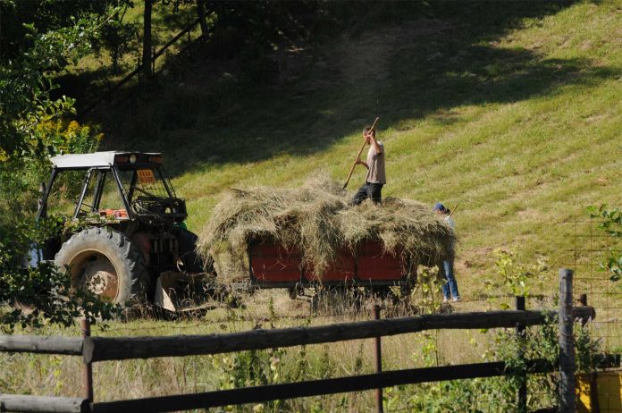 tarani-tractor