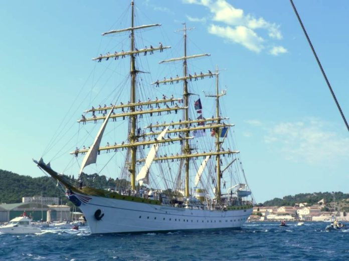 BriculMircea1
